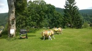 a group of tables and chairs in a field at Chalupa u Josefa in Josefŭv Dŭl