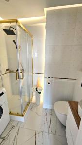 a bathroom with a glass shower and a toilet at Cosy Studio Gdynia Kamienna Góra in Gdynia +15 photos
