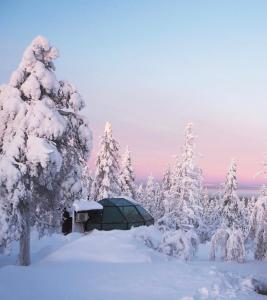 a tent in a snowy forest with snow covered trees at Golden Crown - Levin Iglut in Levi