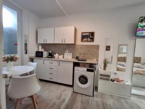 a kitchen with a washer and dryer in a room at Studio Ultracentral OGLINDA in Arad