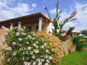 une maison avec des fleurs devant elle dans l'établissement Agriturismo La Rocca Manna, à San Teodoro