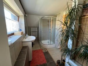 un bagno con doccia e lavandino di Prázdninový dům Šternberk a Šternberk Altre 39 foto