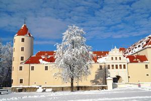 un edificio con un árbol cubierto de nieve delante de él en Altstadt-Hotel, en Freiberg