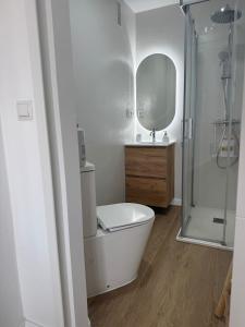 a white bathroom with a toilet and a shower at Mar de Ría 2 in Ribeira +20 photos