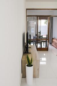 a living room with a television and a potted plant at Casa Myla, 2 Kuiseb Street, Windhoek in Windhoek +13 photos