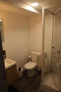 a bathroom with a toilet and a shower at Les Poneys Fringants in Saint-Jean-des-Ollières