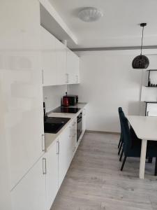 Kuchyň nebo kuchyňský kout v ubytování LCB Apartments Univ Suceava A70