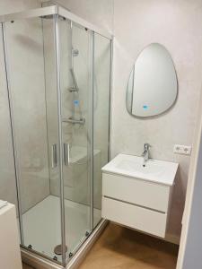 a bathroom with a shower and a sink at B&B s12 in Doetinchem