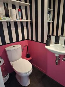 un bagno con un water bianco e un lavandino di Charmant Duplex Historique au Cœur de Liège a Liegi Altre 2 foto