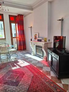 un soggiorno con camino e TV di Charmant Duplex Historique au Cœur de Liège a Liegi