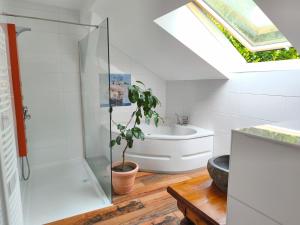 a bathroom with a shower and a plant in it at Ferienwohnung Siegglück in Mittelhof