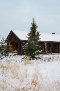 Unique Cabin With Great Natural Materials v zimě