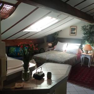 a bedroom with a bed and a skylight at Studio atypique de charme in Cannes
