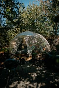 a clear umbrella over a table and chairs at Forest Home Okoř in Okoř +17 photos