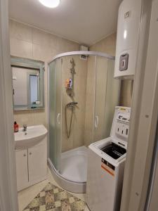 a small bathroom with a shower and a sink at FB Apartaments in Plungė