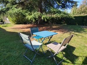 two chairs and a blue table in the grass at La Sucrerie - chambres à la campagne in Fontenay +2 photos