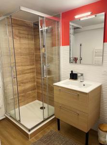 a bathroom with a shower and a sink at Le Dolce Vita Cœur de ville in Dole