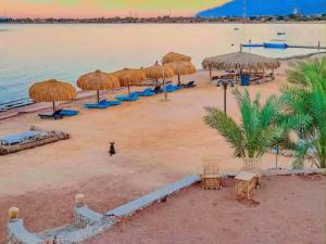 a beach with straw umbrellas and chairs on it at Mermaid camp in Nuweiba