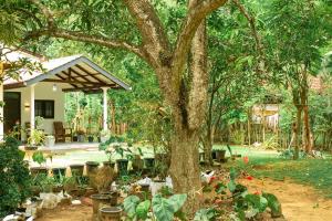 a garden with a tree and a house at The Hollyoak - Vintage Charm with Modern Comforts in Denipitiya
