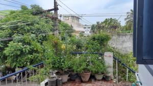 a bunch of plants in pots on a balcony at The Corner House by Liz Non Airconditioned in Mahabalipuram +13 photos