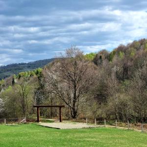 a bench in a field with a hill in the background at Vysoka brama дерев'яний будиночок з чаном in Oriv