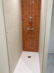 a bathroom with a shower with orange tile at Chez Elsa et Camille in Aigues-Mortes