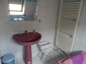 a bathroom with a pink sink and a mirror at La maison des cigognes Eguisheim in Eguisheim +12 photos