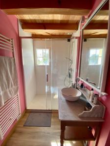 a bathroom with a sink and a shower at Le Moulin de la Doltière in Châteauvieux