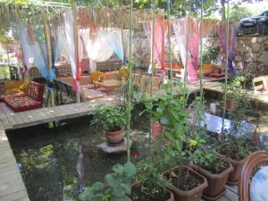 Um jardim em Arikanda River Garden Hotel