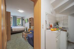 Η κουζίνα ή μικρή κουζίνα στο Gemütliches Studio in Altstadt - mit Sofa und Kochgelegenheit