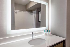 a bathroom with a sink and a mirror at Holiday Inn Express & Suites Anaheim Resort Area, an IHG Hotel in Anaheim