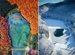 una vista aerea di un lago nel bosco di Mountain House LISINSKA ROSA a Brdo