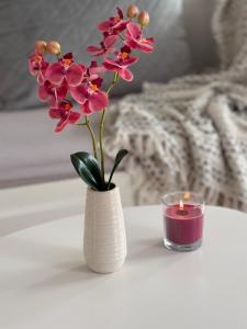 Φωτογραφία από το άλμπουμ του SEEGlück FN στο Φριντρισχάφεν