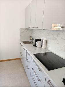 Köök või kööginurk majutusasutuses Apartments - RX