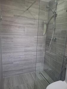 a bathroom with a glass shower with a toilet at Studio flat close to Heathrew Airport in Northolt +7 photos