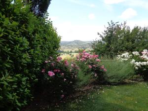 Agriturismo La Torraccia外面的花园