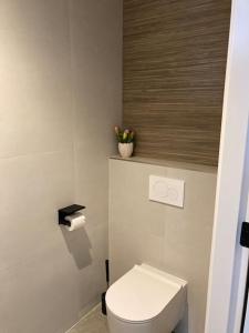 a bathroom with a toilet and a flower pot on the wall at Weidezicht Soest rust en natuur in Soest