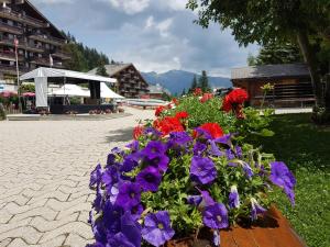 un ramo de flores sentado en un banco en Holidays Groupes Anzère en Anzère