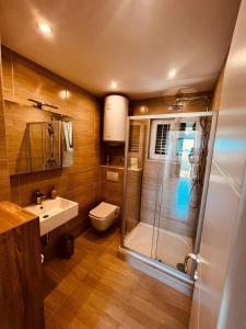 a bathroom with a shower and a toilet and a sink at Apartments Anica in Primošten