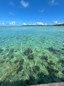 a view of the water in the ocean at Minshuku Kuroshima in Kuroshima