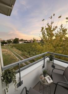 Μπαλκόνι ή βεράντα στο Charming apartment overlooking vineyard in Libourne
