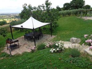 Agriturismo La Torraccia外面的花园