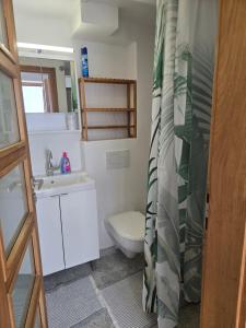 a bathroom with a toilet and a sink at Danube Gardens in Vienna +29 photos