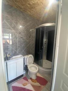 Imagen de la galería de D&N Karakol, en Karakol