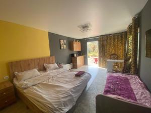 Imagen de la galería de D&N Karakol, en Karakol