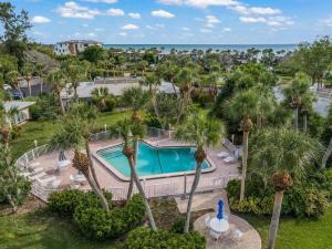 Hồ bơi trong/gần The Perfect Condo