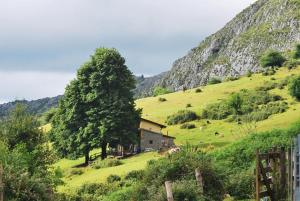 a house on a hill with a tree in a field at Albergue Fayacava in Melendreros