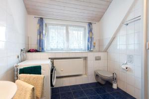 a small bathroom with a toilet and a sink at Ferienwohnung Weinbergblick in Auggen +16 photos