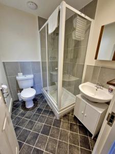 a bathroom with a toilet and a shower and a sink at Rochester Apartment in Bedford