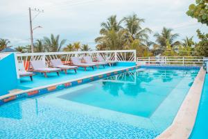 a swimming pool with chairs and palm trees at Hotel Playa Divina in Coveñas
